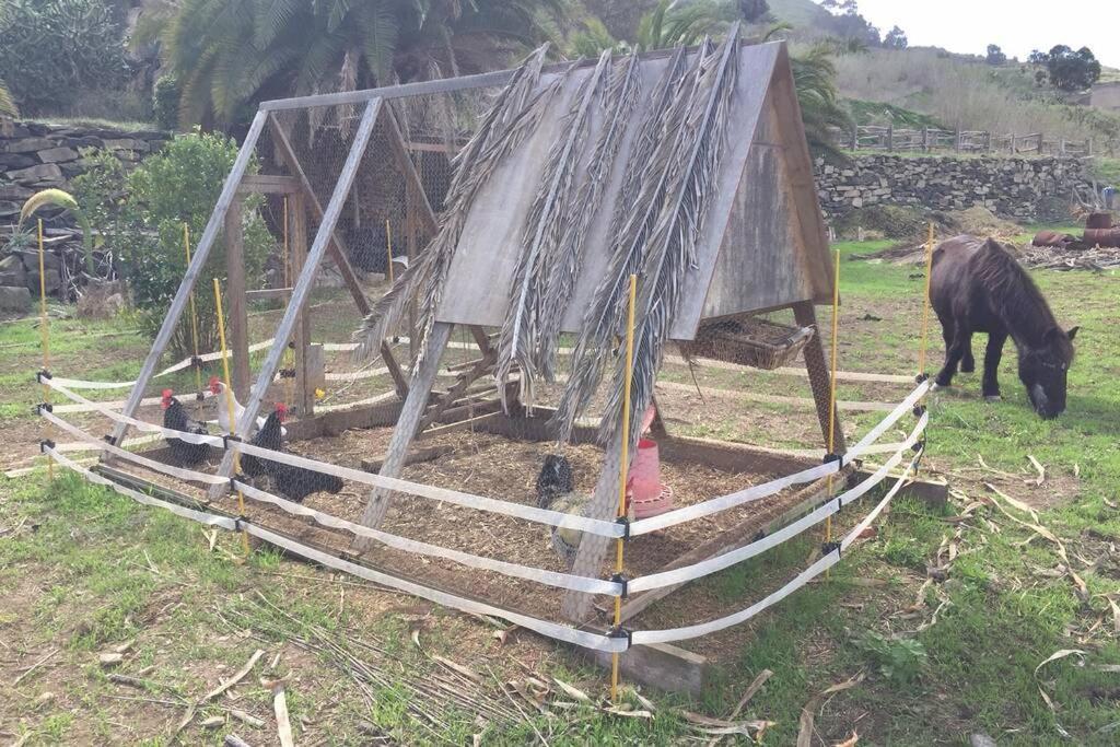 Casita Bioclimatica En El Campo Appartement Arucas Buitenkant foto