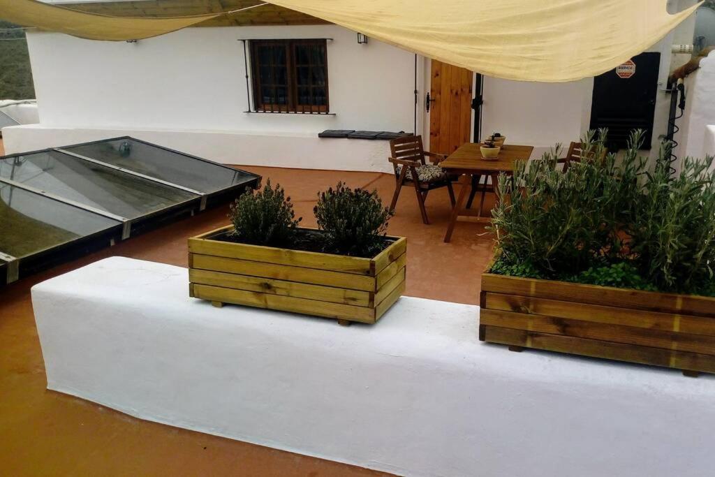 Casita Bioclimatica En El Campo Appartement Arucas Buitenkant foto